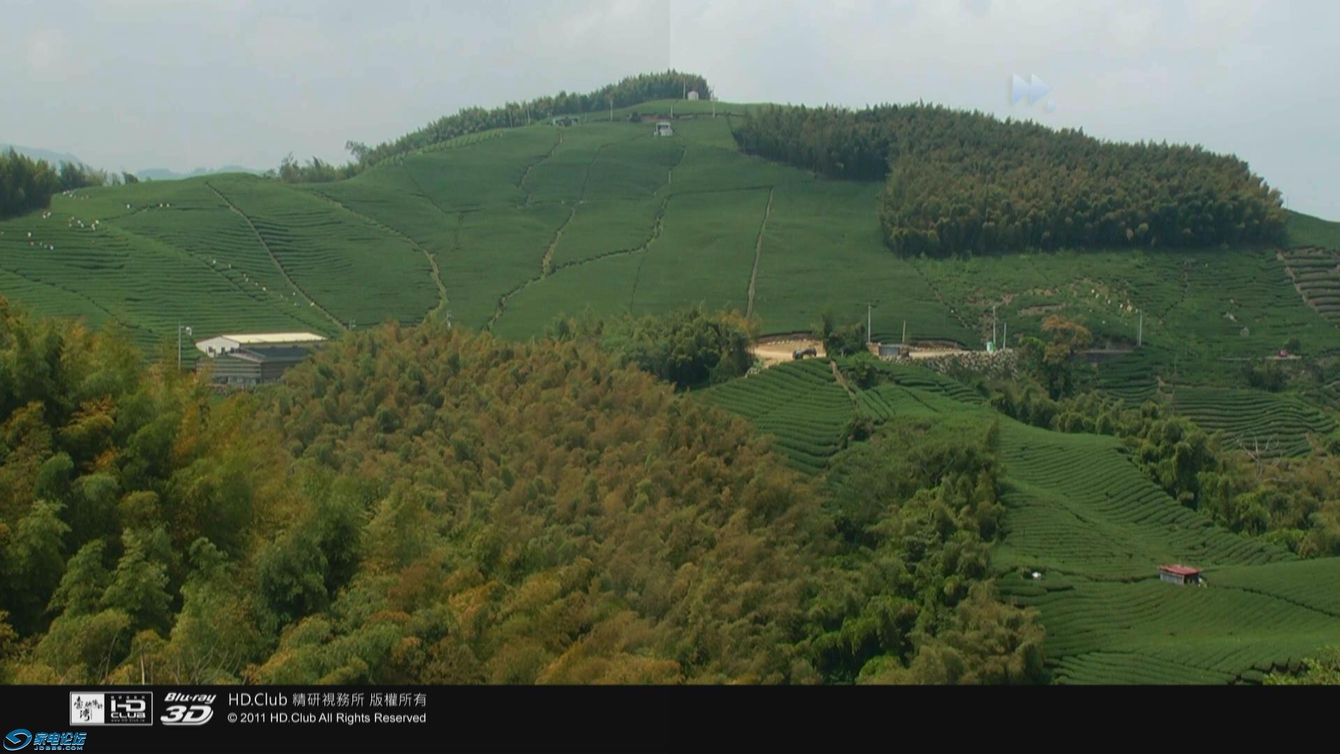 20130911-085115-77.jpg