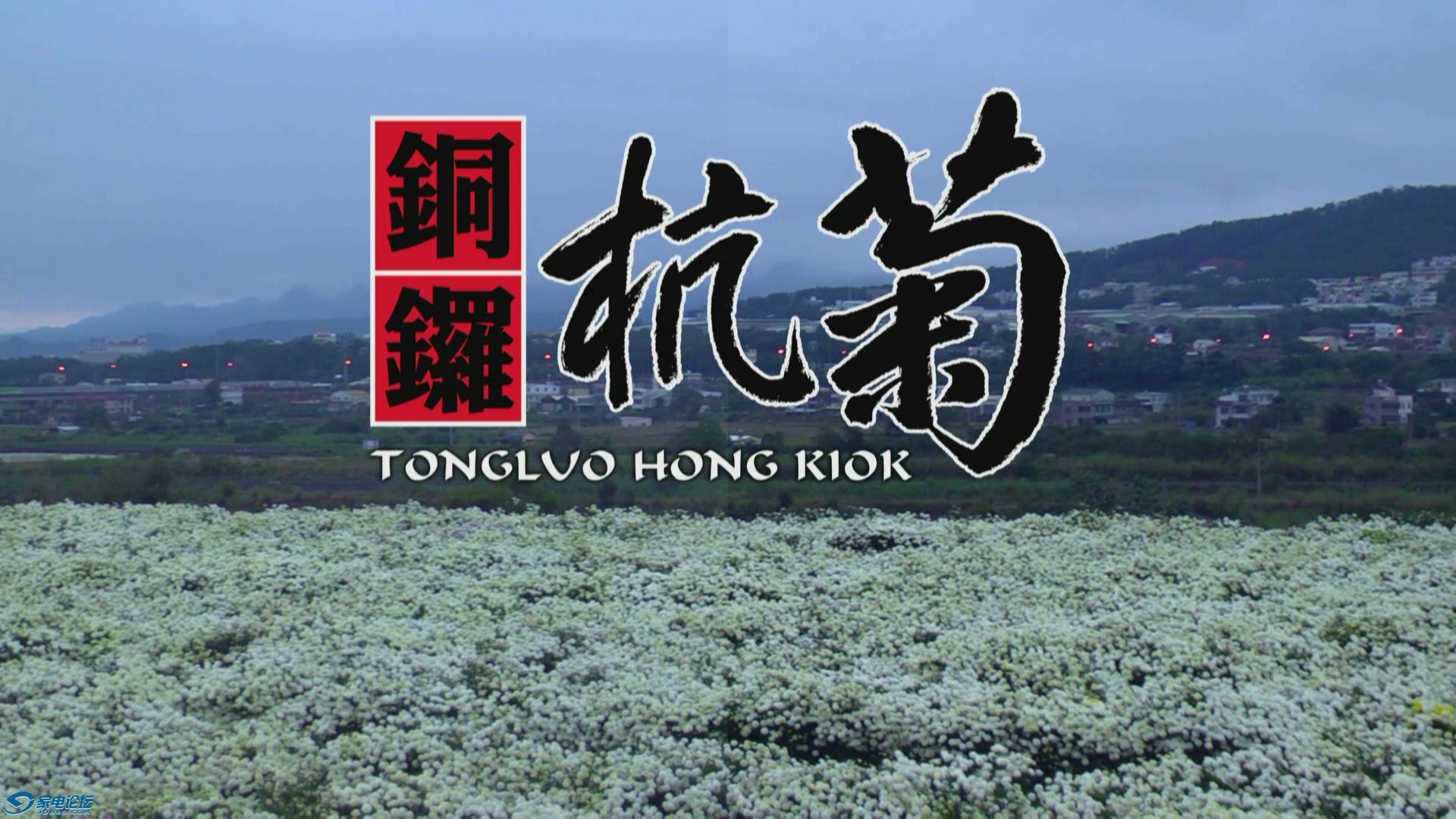 20130911-085116-84.jpg