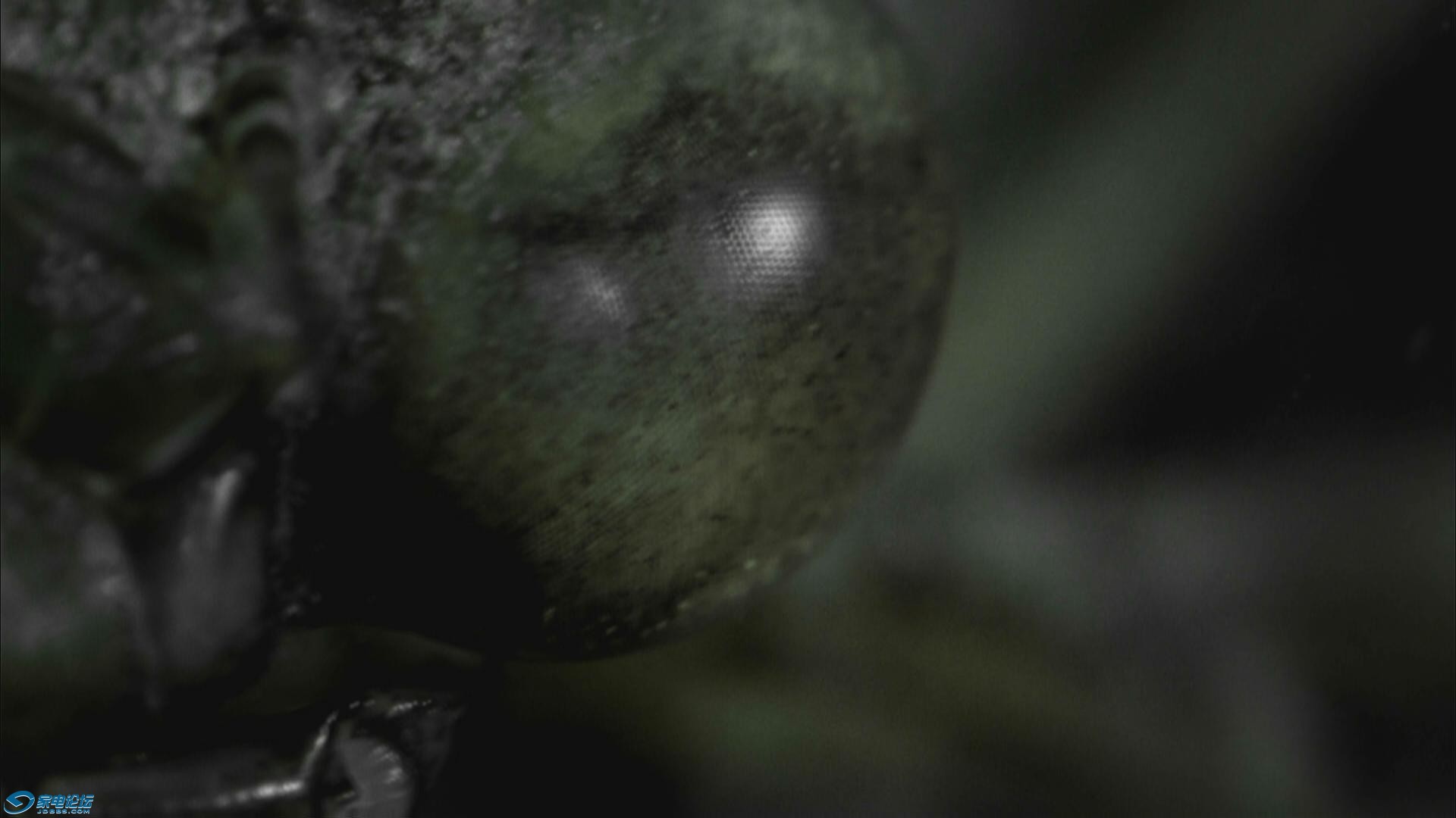 20130911-085118-89.jpg