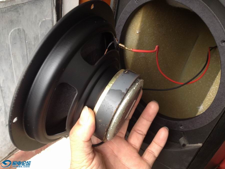 ������С IMG_4825.JPG