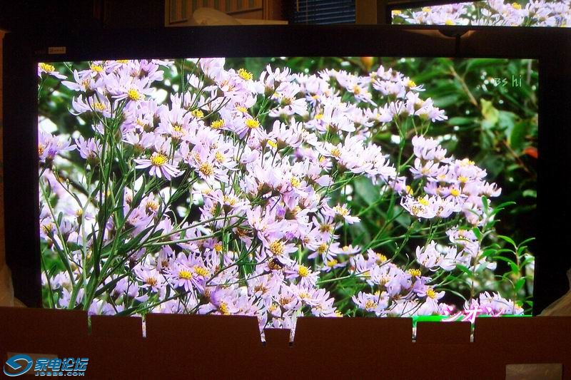 ��Ƭa-1111 026.jpg