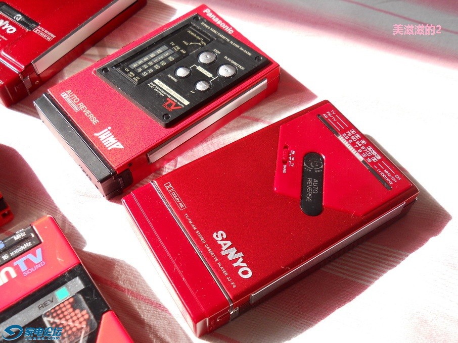 DSCN7313.jpg