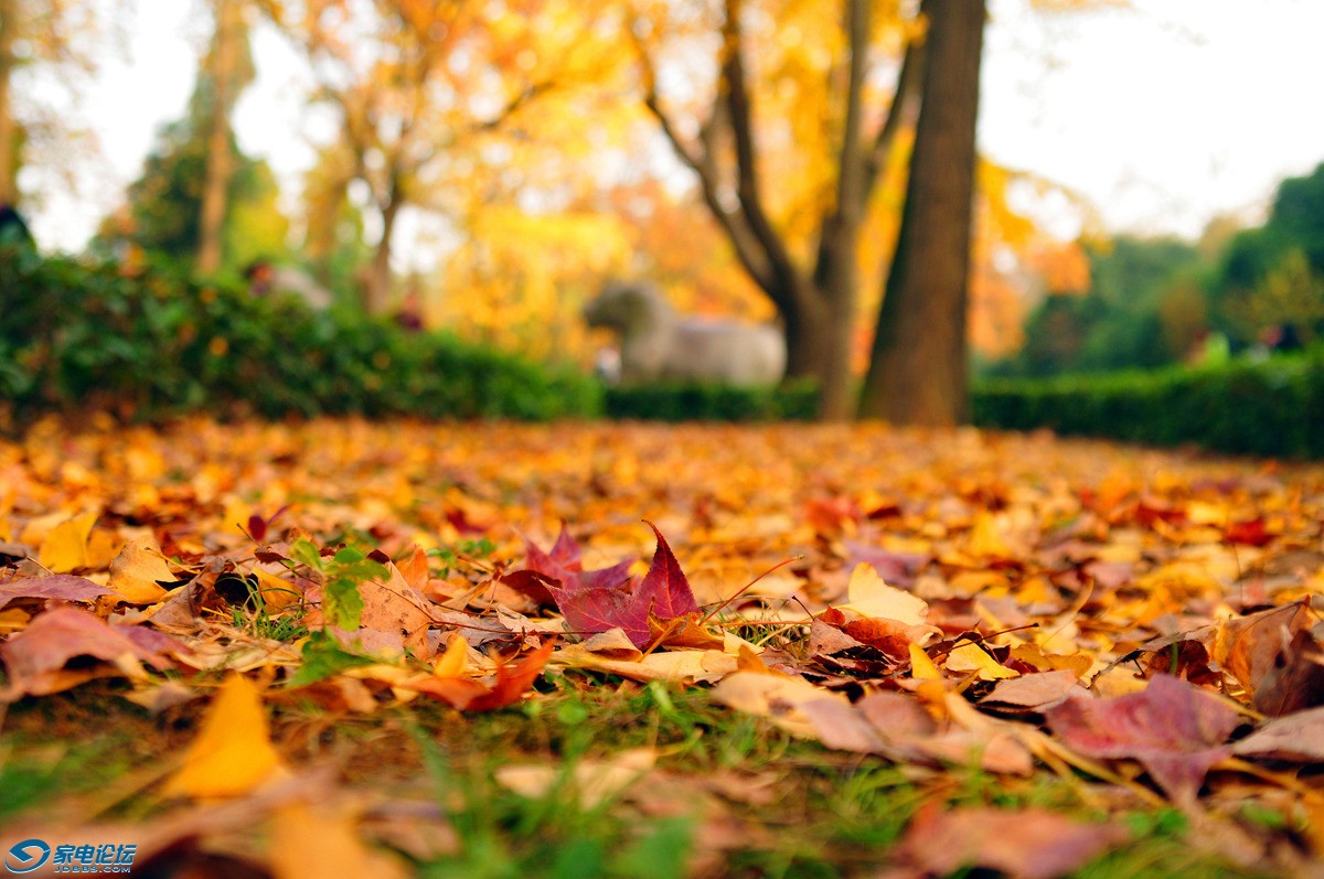 28-75���ż�ʵ�� (8).jpg