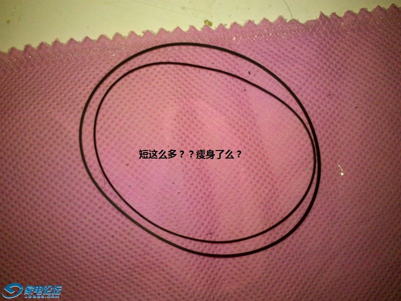 203.jpg