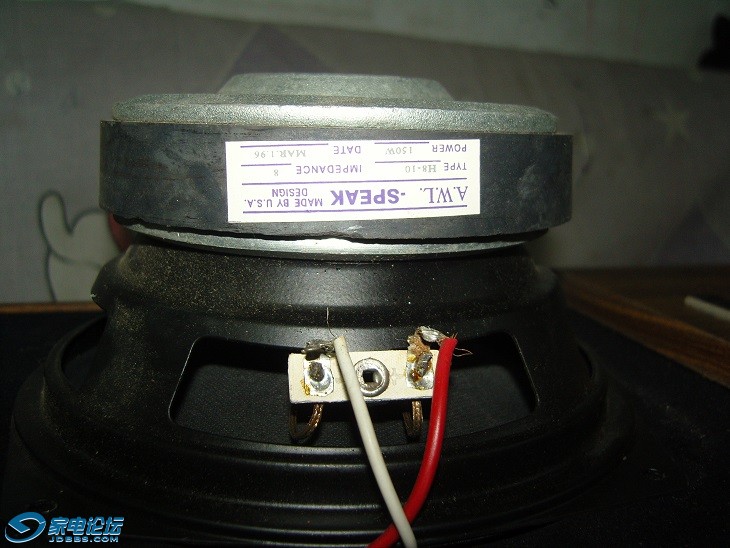 SNC18025a.jpg