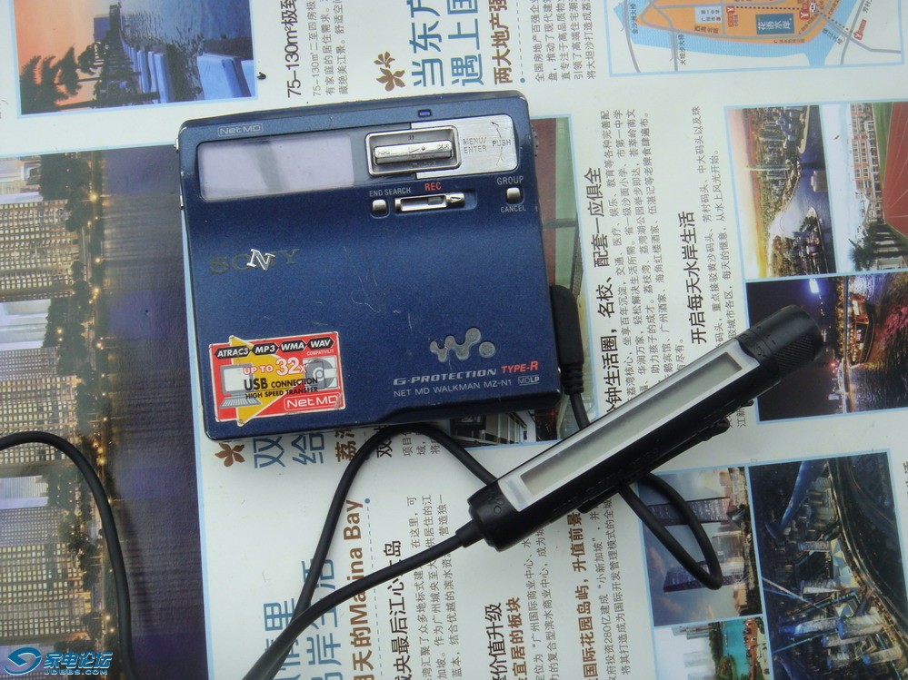 DSC06246.JPG