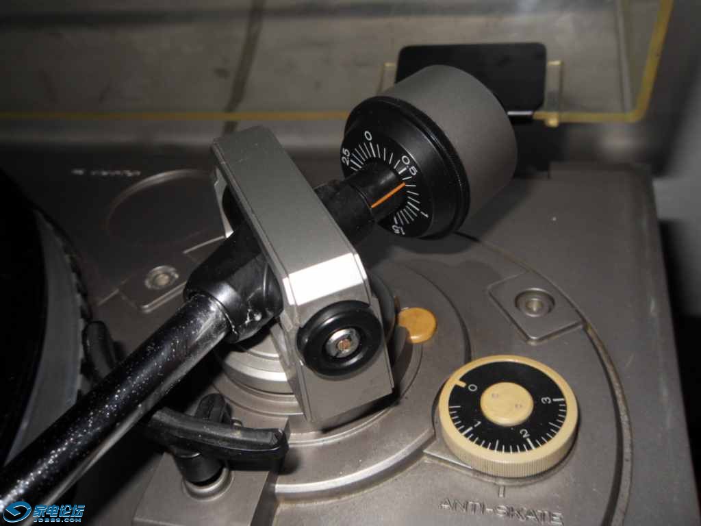 SDC12971_1.jpg