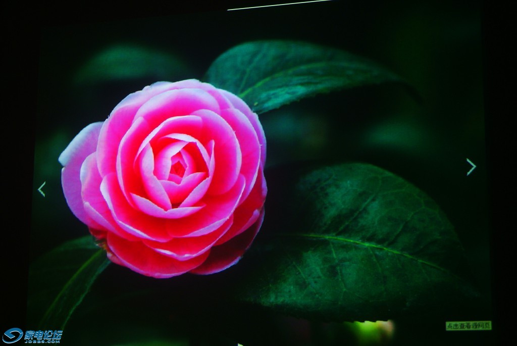DSC03788_.jpg