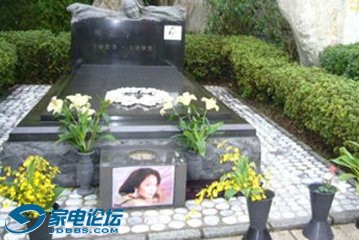 Ӣĸ裺.jpg