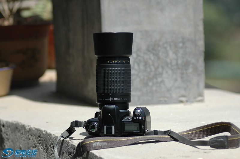 DSC_8127_.jpg