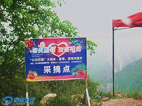 ��Ƭ 243_����a.jpg