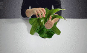 QQͼƬ20140602093413.gif