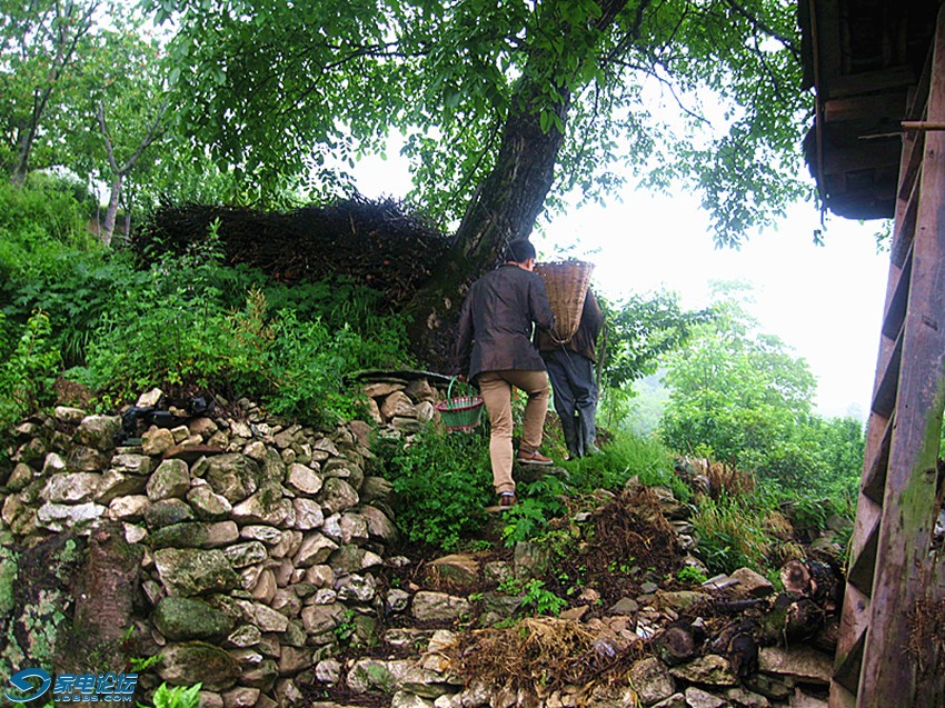 ��Ƭ 288_����a.jpg