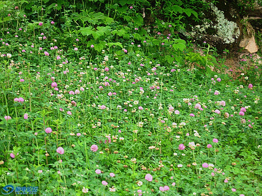 ��Ƭ 308_����a.jpg