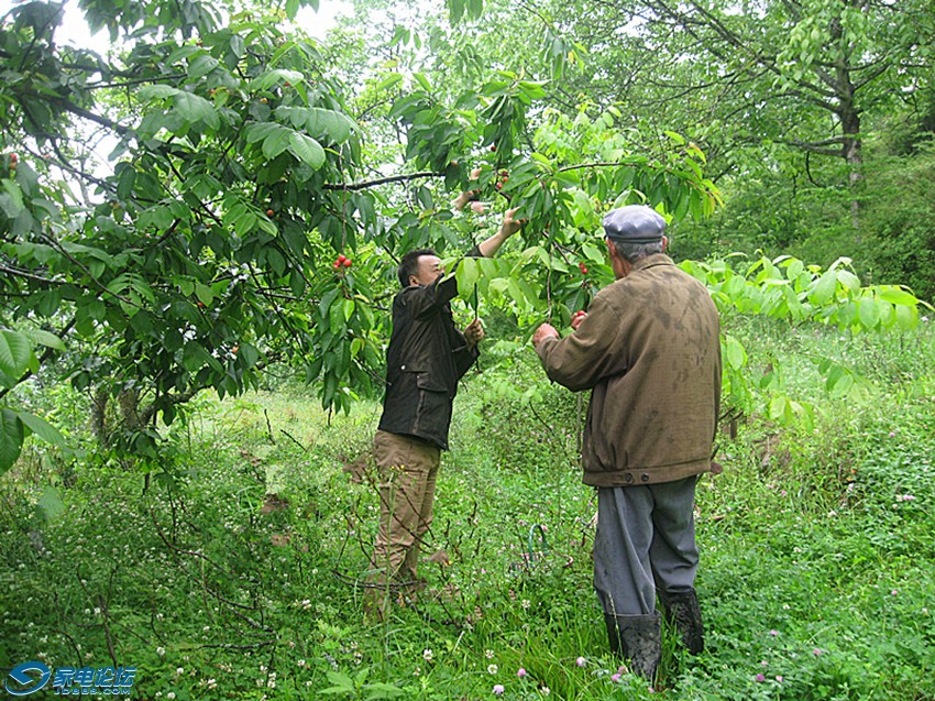 ��Ƭ 331_����a.jpg