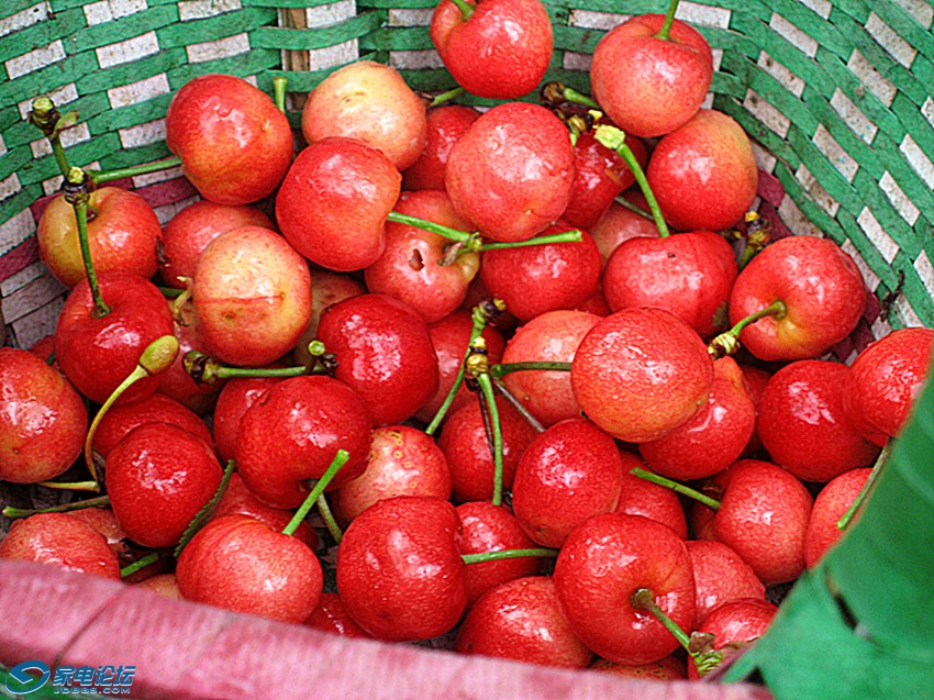 ��Ƭ 340_����a.jpg