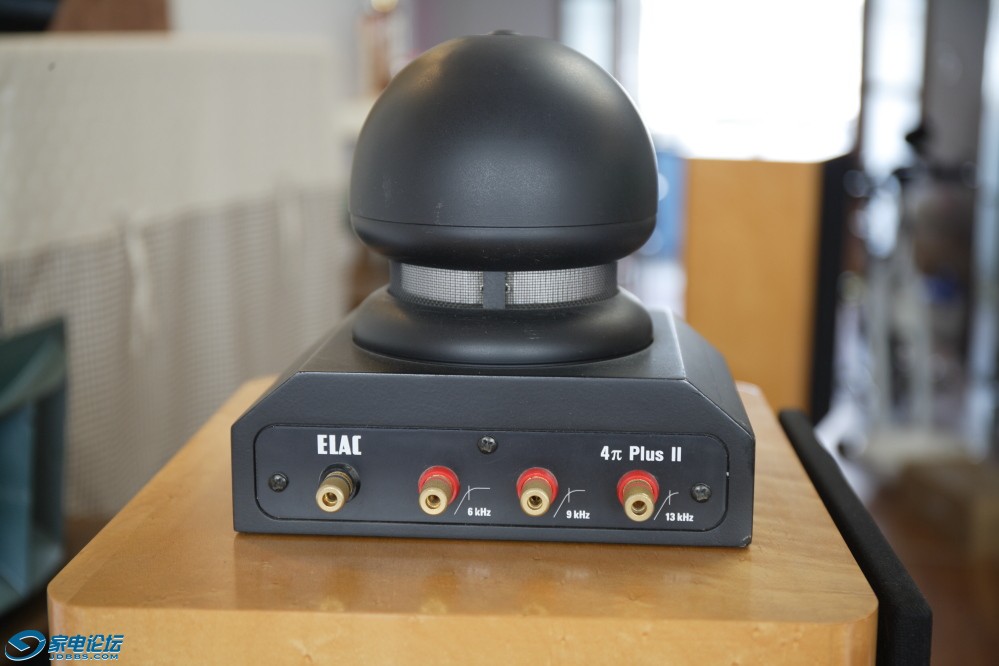 ZU7B5005.JPG