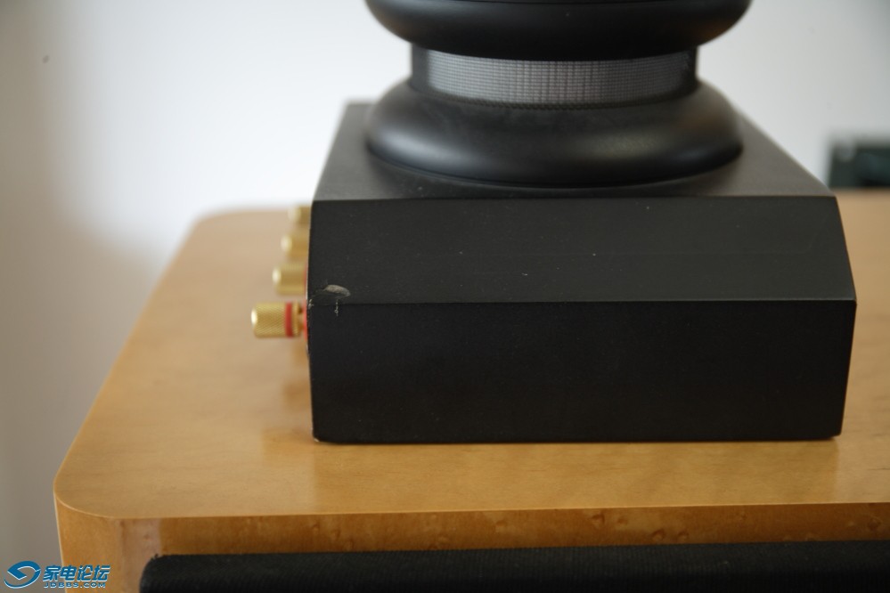 ZU7B5007.JPG