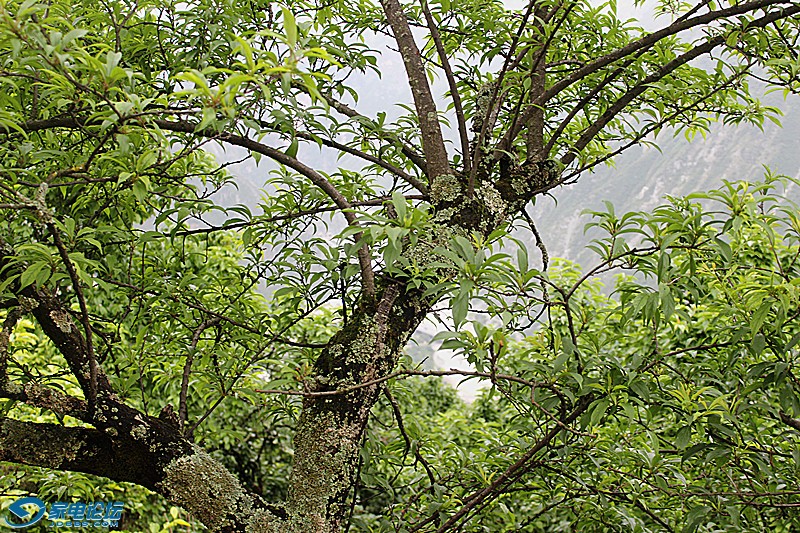 ��Ƭ 1067_����a.jpg