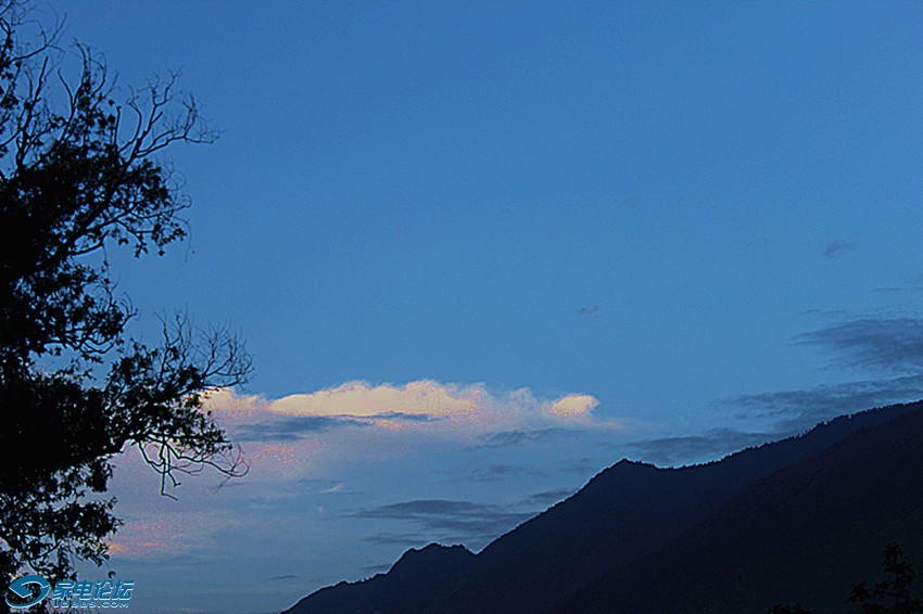 ��Ƭ 1453_����a.jpg