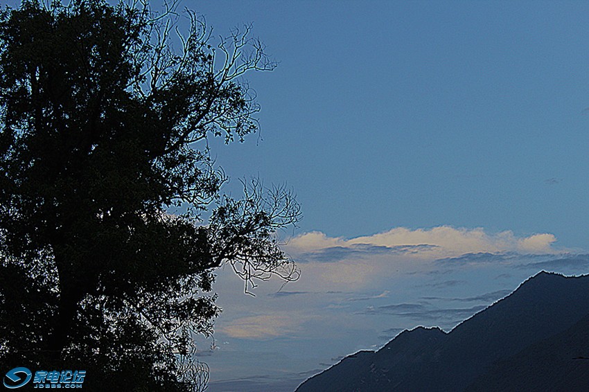 ��Ƭ 1455_����az.jpg