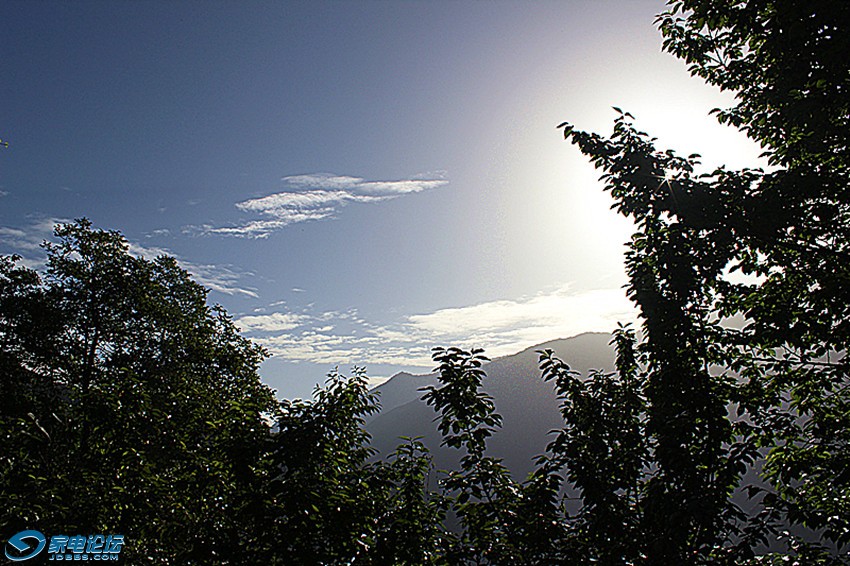 ��Ƭ 1547_����a.jpg