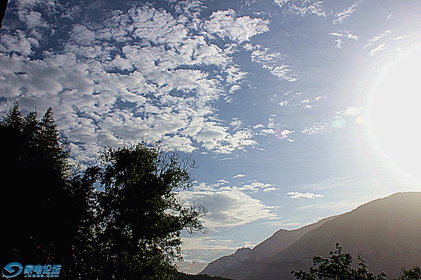 ��Ƭ 1138_����a.jpg