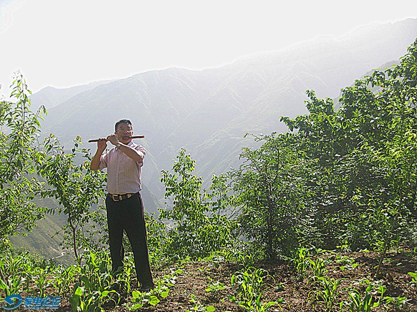 ��Ƭ 395_����a.jpg