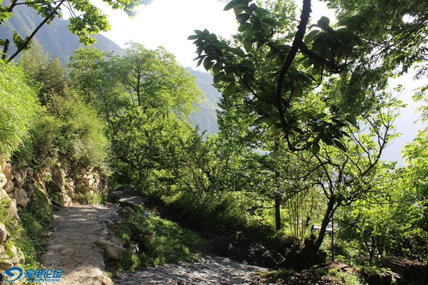 ��Ƭ 1540_����a.jpg