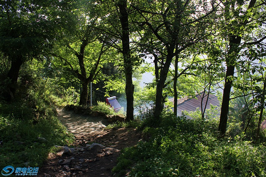 ��Ƭ 1524_����q.jpg