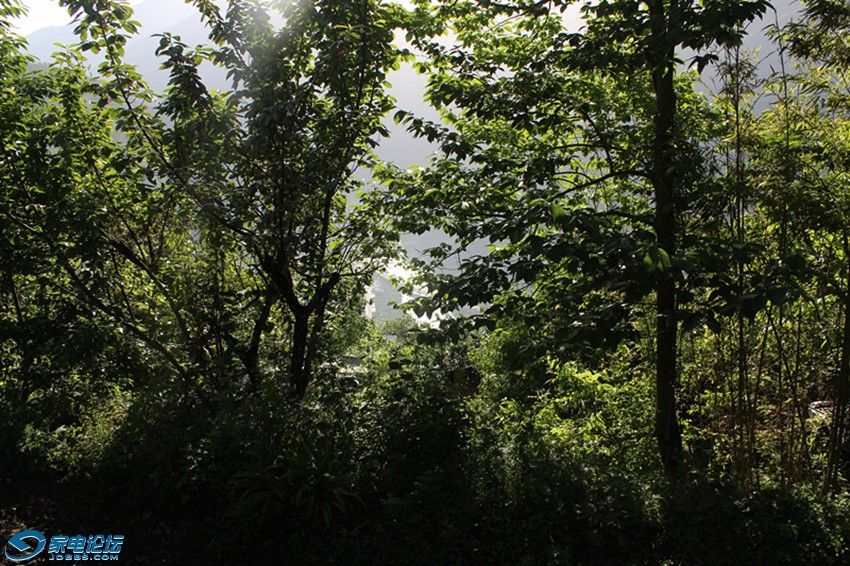 ��Ƭ 1546_����a.jpg