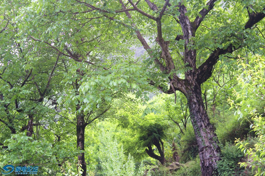 ��Ƭ 1263_����a.jpg