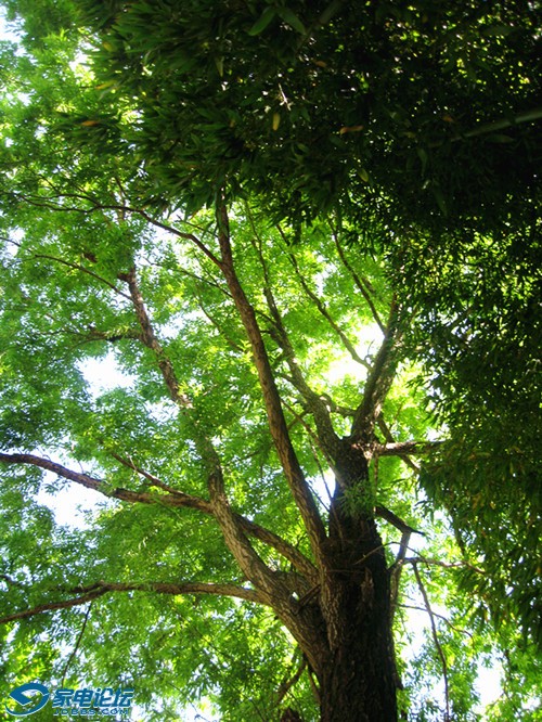 ��Ƭ 737_����a.jpg