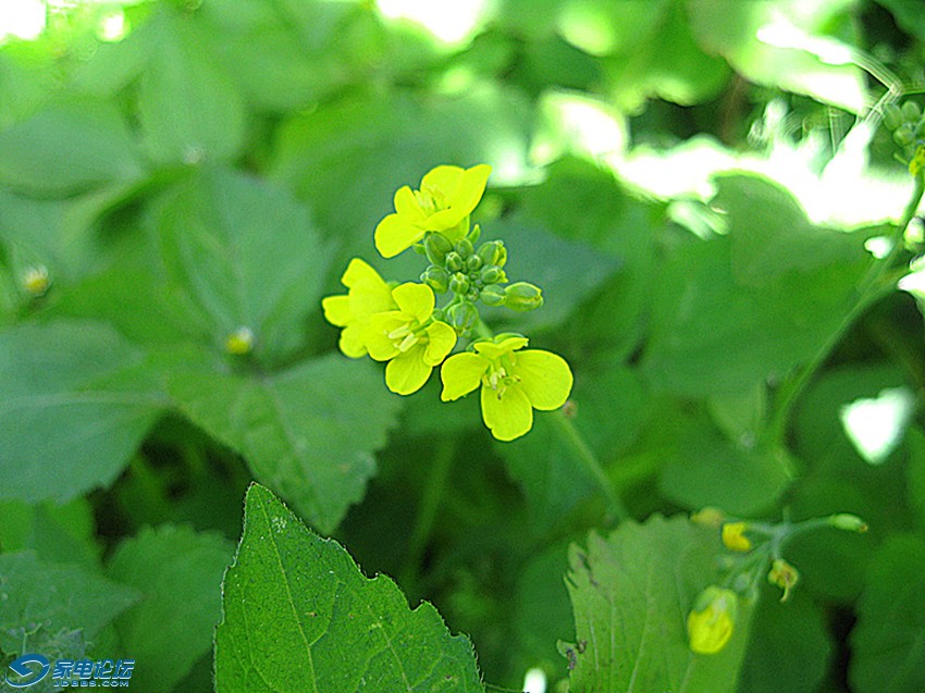 ��Ƭ 714_����a.jpg