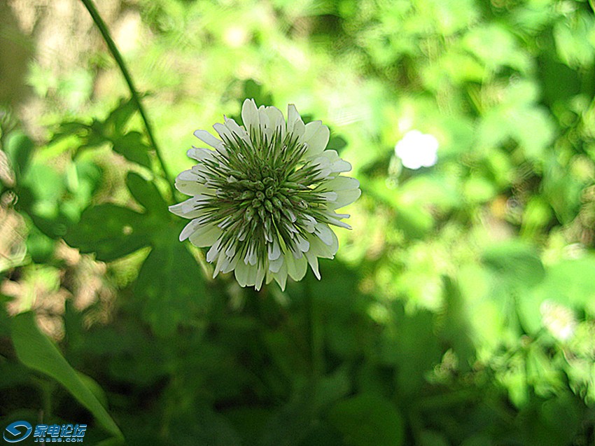 ��Ƭ 770_����a.jpg