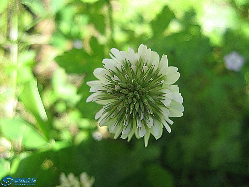 ��Ƭ 769_����a.jpg