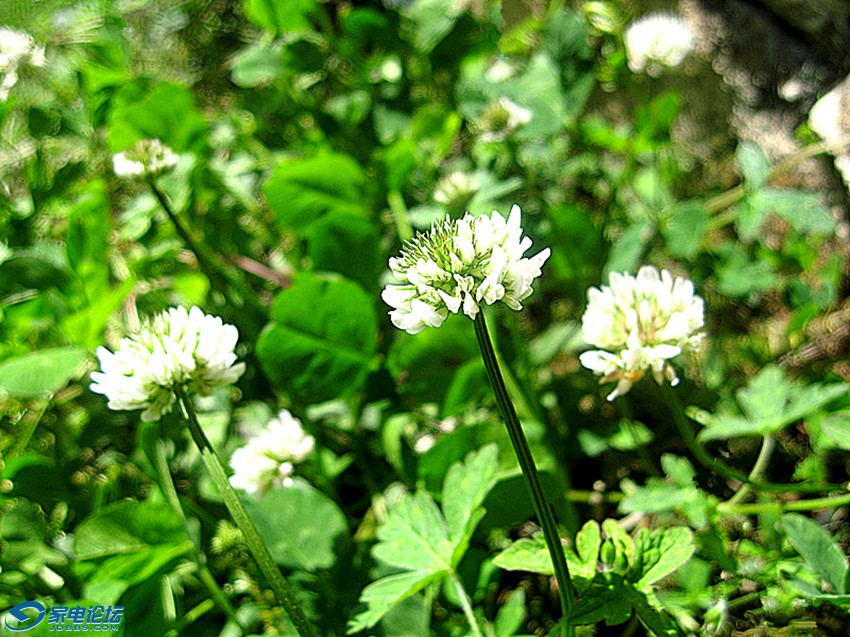 ��Ƭ 766_����v.jpg