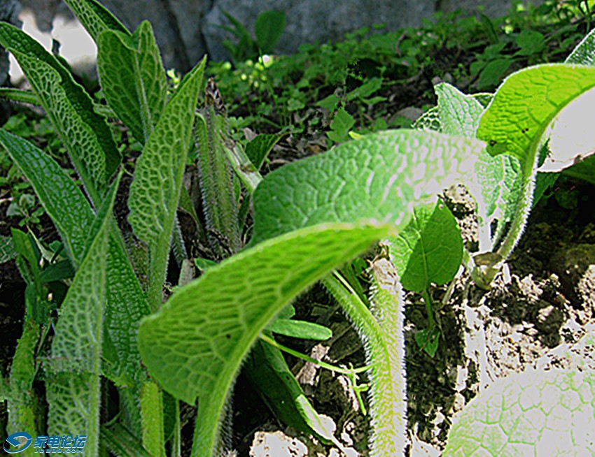 ��Ƭ 781_����ab.jpg