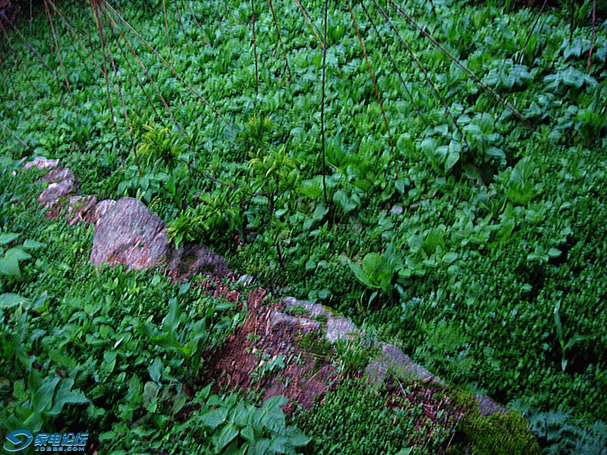 ��Ƭ 637_����a_����b.jpg