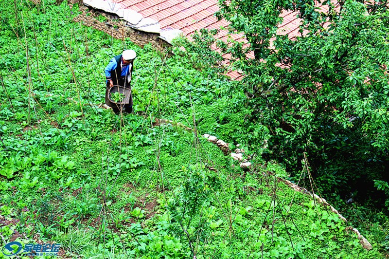 ��Ƭ 1281_����a_����v.jpg