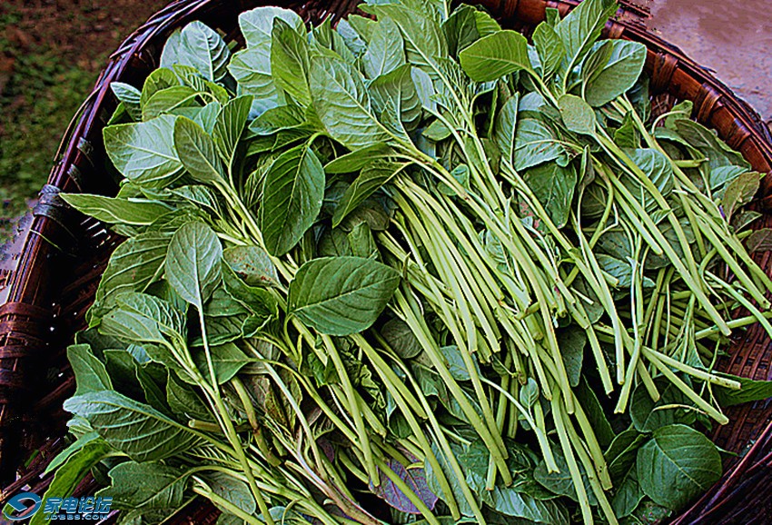 ��Ƭ 1424_����a_����b.jpg