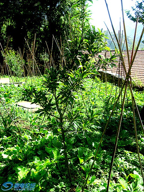 ��Ƭ 789_����a.jpg