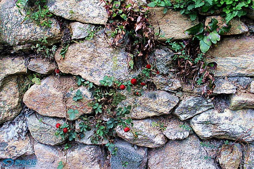 ��Ƭ 1085_����a.jpg