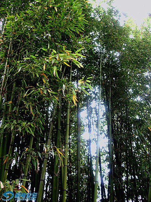 ��Ƭ 591_����a.jpg