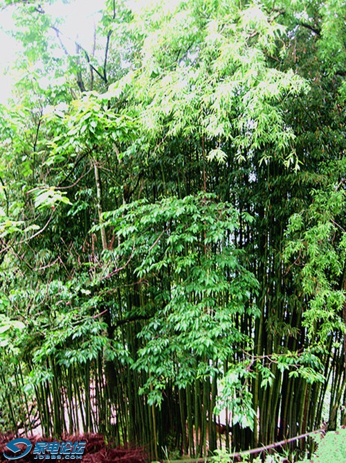 ��Ƭ 566_����a.jpg