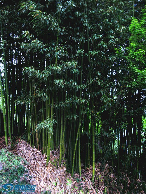 ��Ƭ 626_����a.jpg