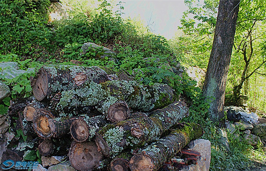 ��Ƭ 1588_����a.jpg