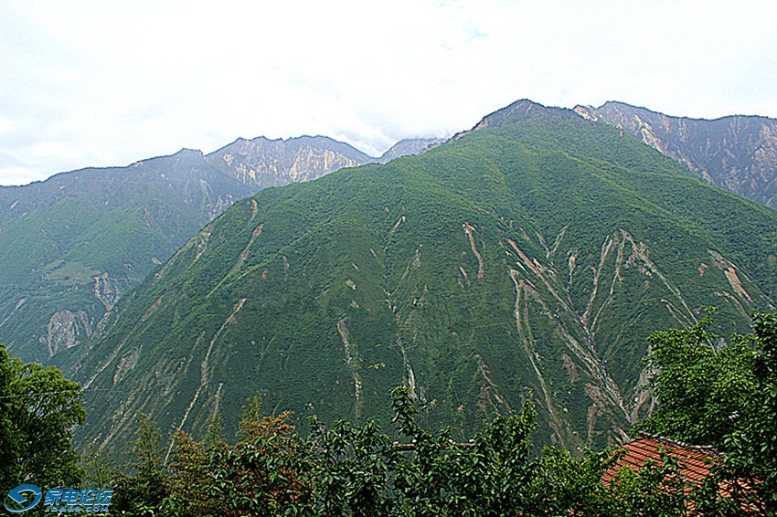 ��Ƭ 1246_����a.jpg