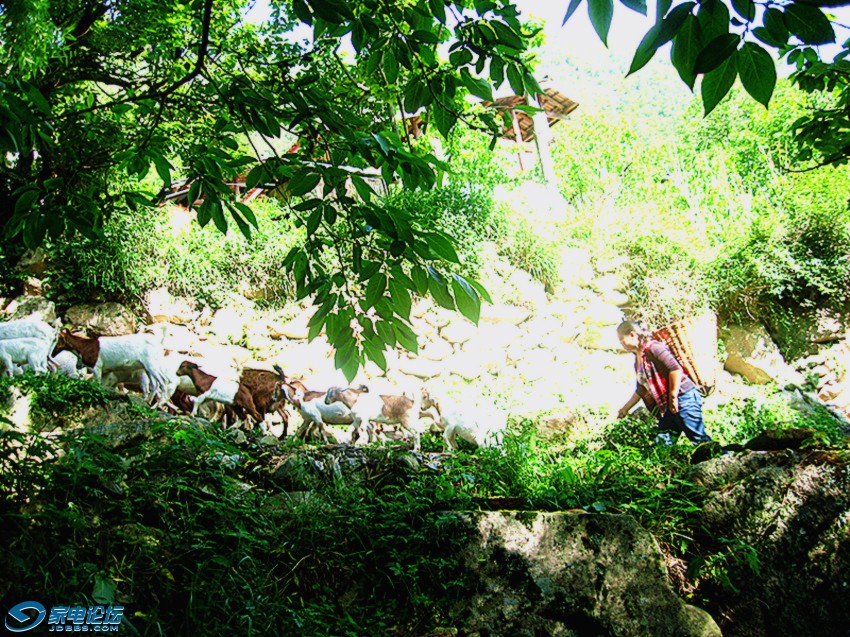 ��Ƭ 397_����a_����v.jpg