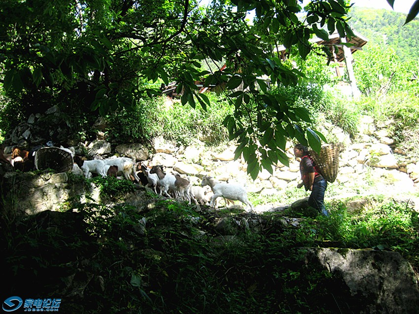 ��Ƭ 398_����a.jpg